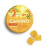 Camino Mango Serenity Gummies