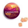 Camino Sour Orchard Peach Gummies