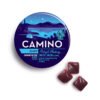 Camino Midnight Blueberry Sleep Gummies
