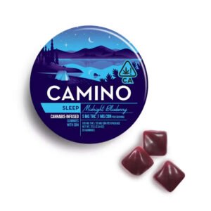 Camino Midnight Blueberry Sleep Gummies