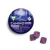 Camino Sour Blackberry Dream Sleep Gummies