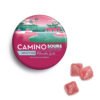 Camino Sour Watermelon Spritz Gummies