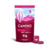Camino Forest Berry Energy Fruit Chews