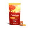 Camino Golden Peach Recover Fruit Chews