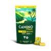 Camino Pineapple Paradise Bliss Fruit Chews